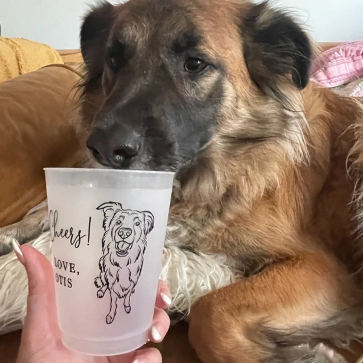 10/50 Personalized Senior Phot - Plastic Cup 50Pcs บทวิจารณ์และราคา