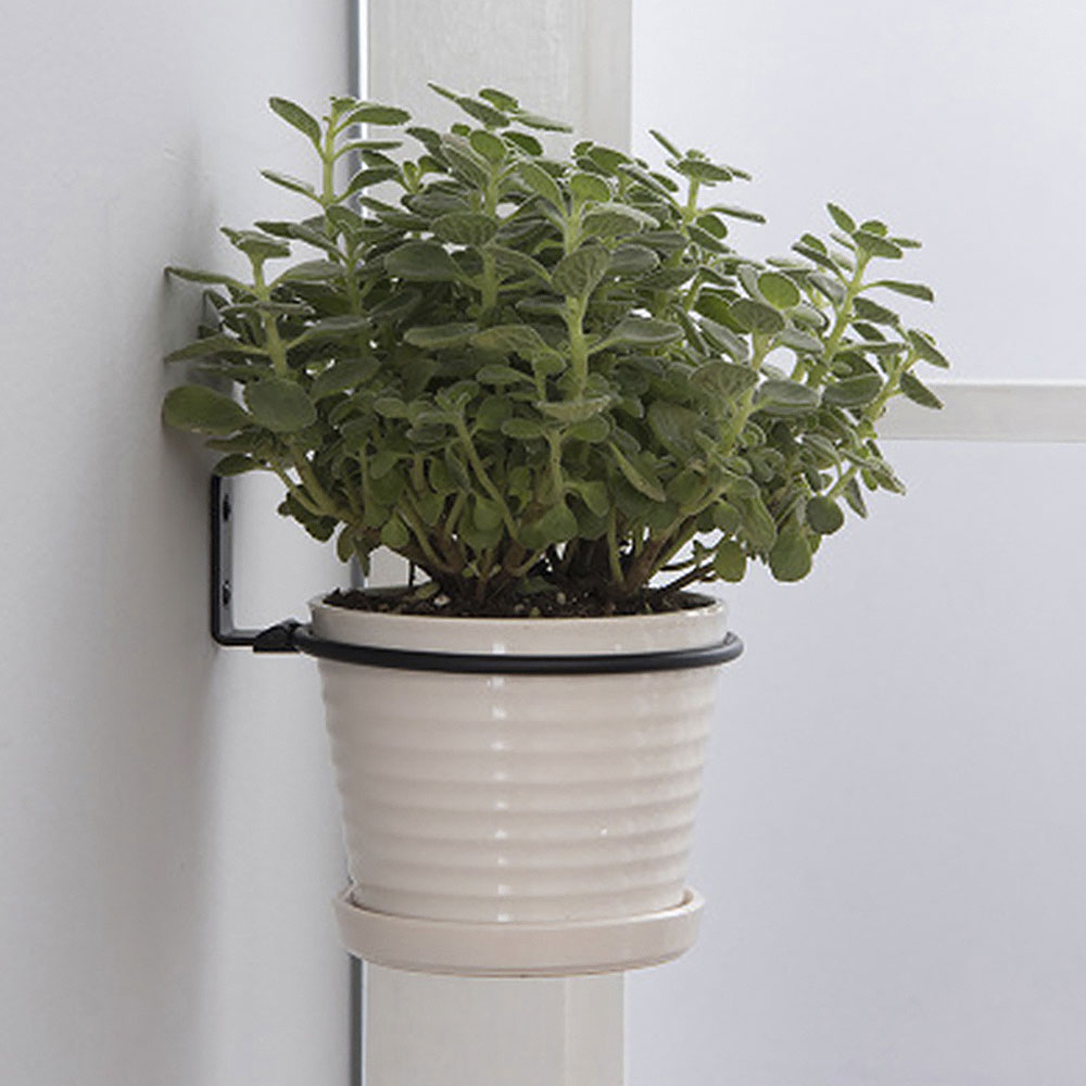 Flower Pot Trays Wall Mounted  - Flower Wall Panel บทวิจารณ์และราคา