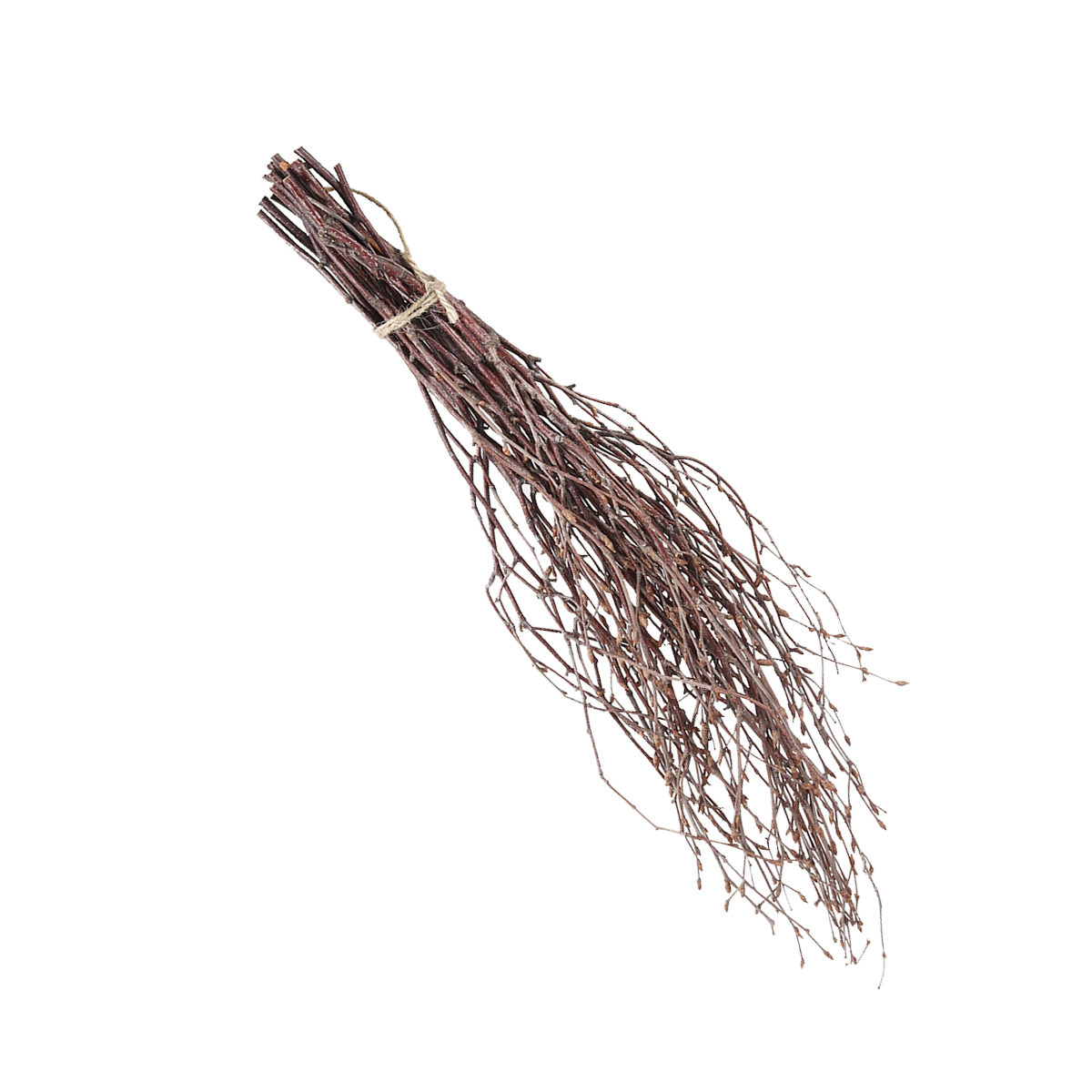 10Pcs 40Cm Birch Branches Real - Centerpiece Stick บทวิจารณ์และราคา