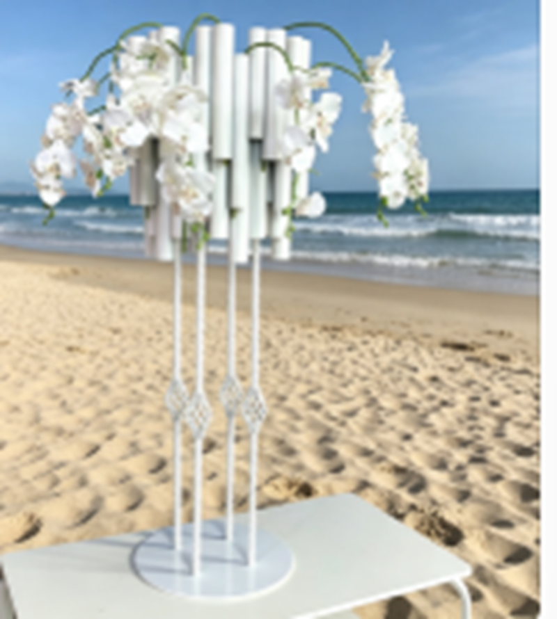 Wedding Event Decorative Suppl - Party Event Supply Store บทวิจารณ์และราคา